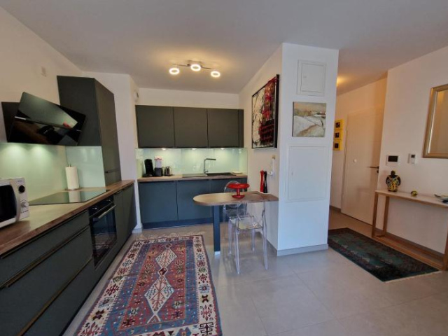 Appartement avec terrasse, jardin et double garage - 科爾馬