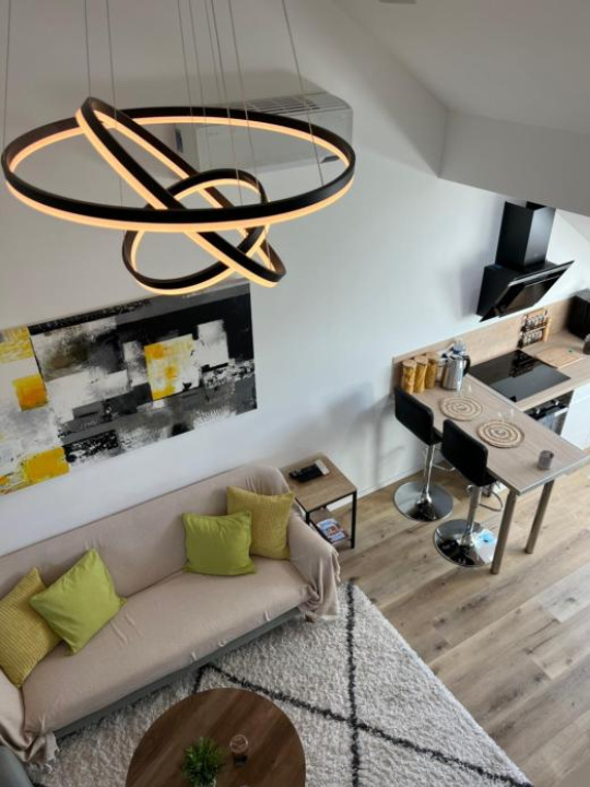 Loft ravissant avec parking gratuit - 科爾馬