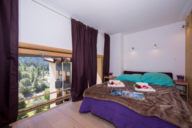 Résidence Grand Roc - Campanules 306 - Happy Rentals - 夏慕尼白朗峰