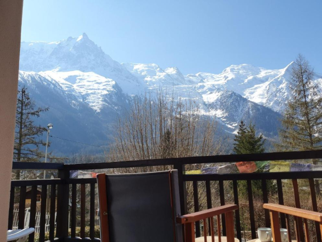 Nice apt with mountain view at the foot of slopes - 夏慕尼白朗峰