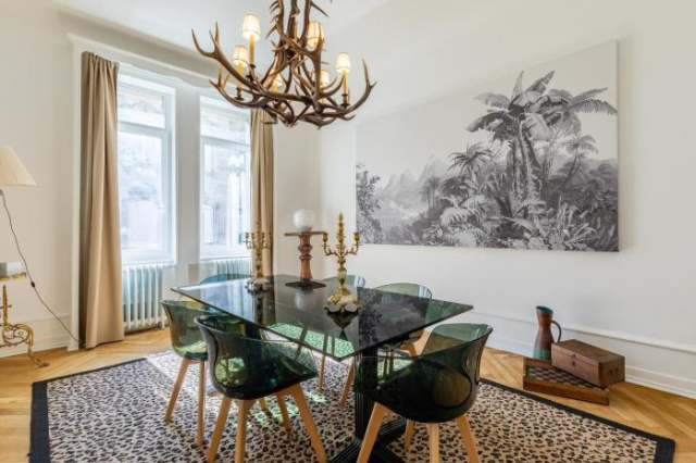 LUXUEUX APPARTEMENT CENTRE VILLE - Strasbourg