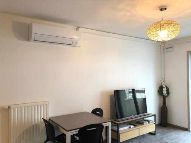 F2 côté UGC climatisé plein centre parking gratuit - Strasbourg