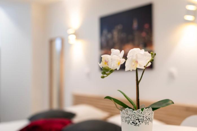 CityCosy Strasbourg - Studio Hirtz Orangerie - Strasbourg