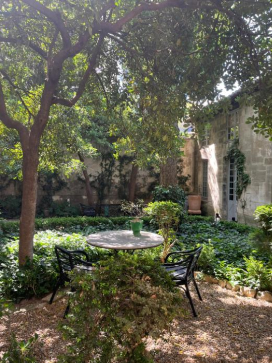 Fies Palais Bed and Breakfast - Avignon