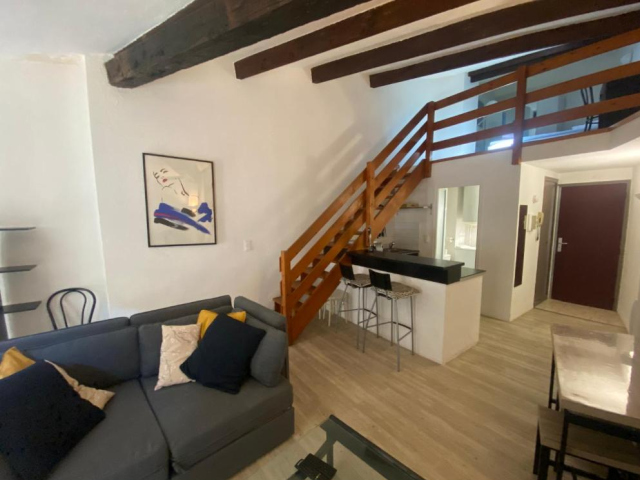 APPARTEMENT T2 SPACIEUX ET COSY - HYPER-CENTRE - FREE WIFI - 2 pers - 亞維儂