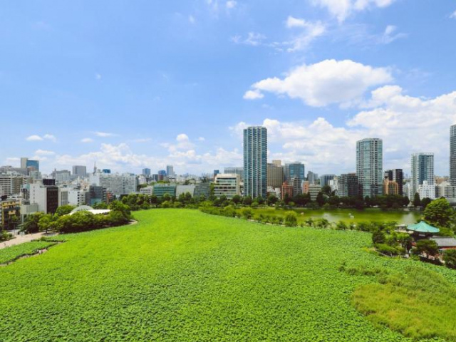 APA Hotel Keisei Ueno Ekimae - Tokyo