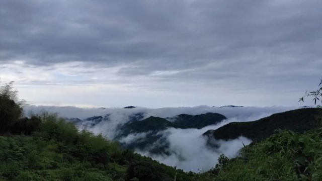 Mogan Mountain Undo Resort - Zhejiang