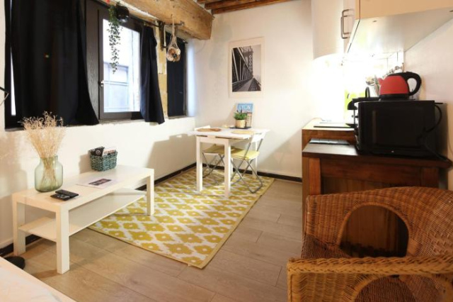 Charming Studio Centre Ville De Lyon - 里昂