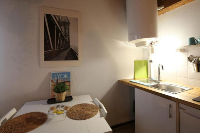 Charming Studio Centre Ville De Lyon - 里昂