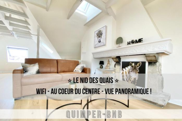 LE NID DES QUAIS - Vue Panoramique au cœur de la ville - Wifi - Entrée autonome - Quimper