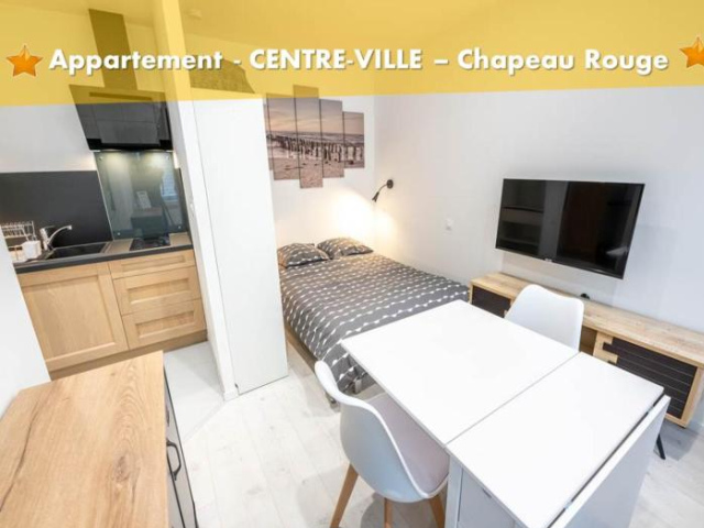 LES NIDS DE SAINT MARC - centre-ville - 坎佩爾