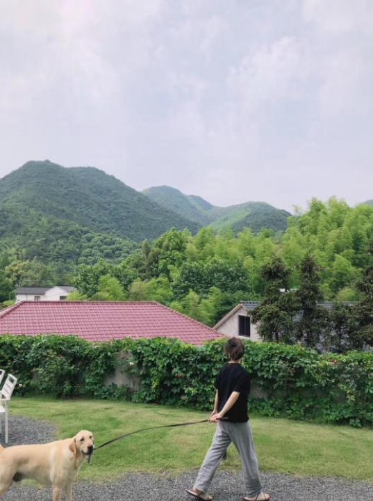 Moganshan Shiyue Space - Zhejiang