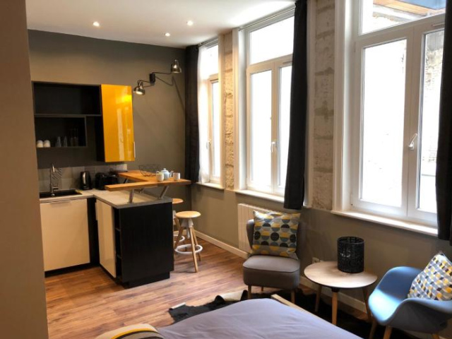 Rousseau Apartment - Lille