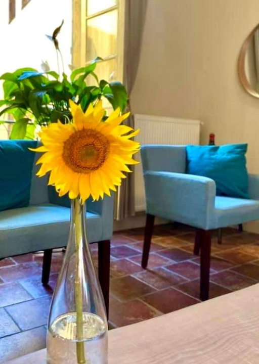 Apartment Albert - Carcassonne